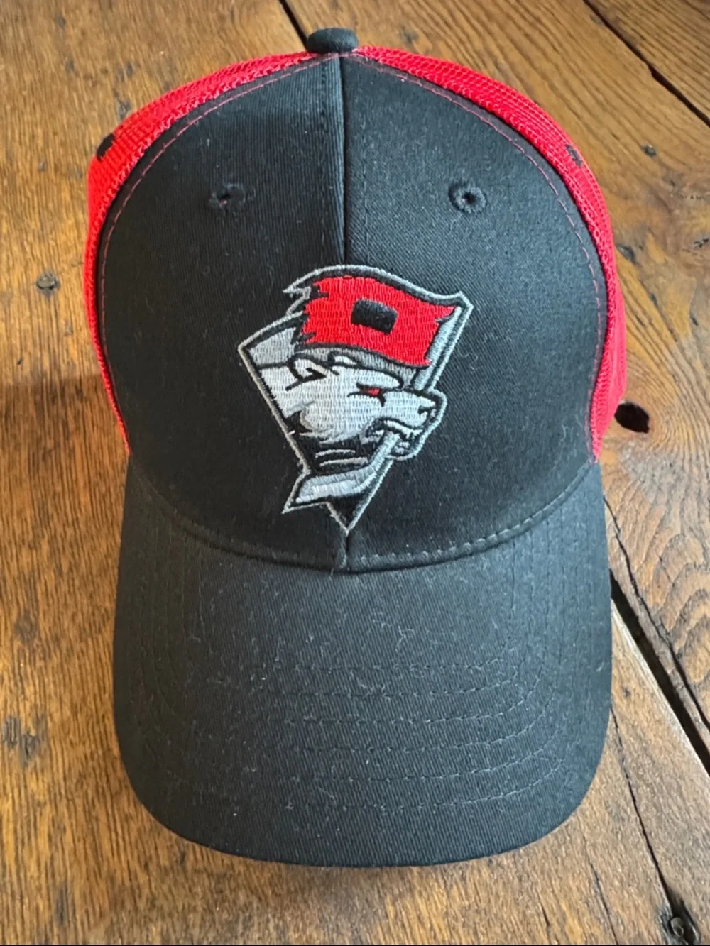 Charlotte hockey